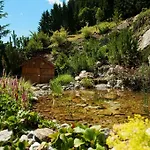Wellness-aparthotel Montana 4* Kleinarl