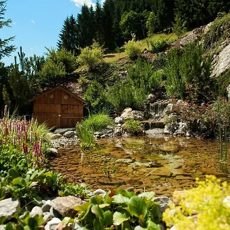 Wellness-aparthotel Montana 4* קליינארל