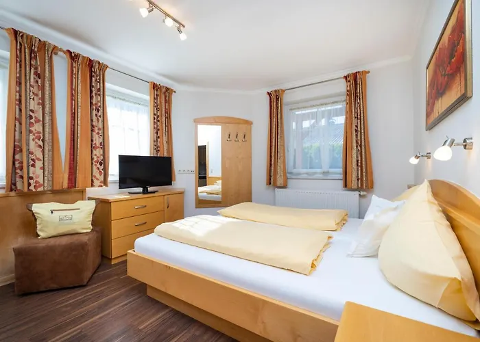 アパートホテル Wellness-aparthotel Montana 4*