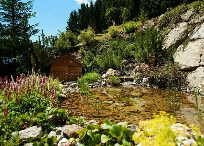 Wellness-aparthotel Montana 4* クライナル